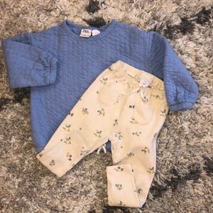 EUC Zara Girls Outfit - two pieces size 2T